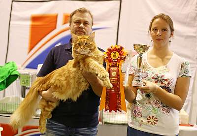 �������� ����� 20-21 �������� 2014 WCF-����� 8-24-169A1116 copy.jpg